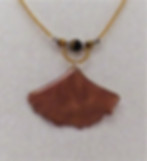 Ginkgo biloba