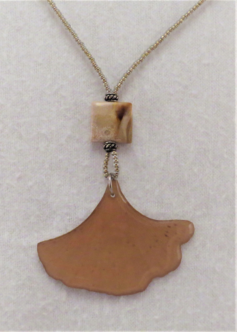 Ginkgo biloba