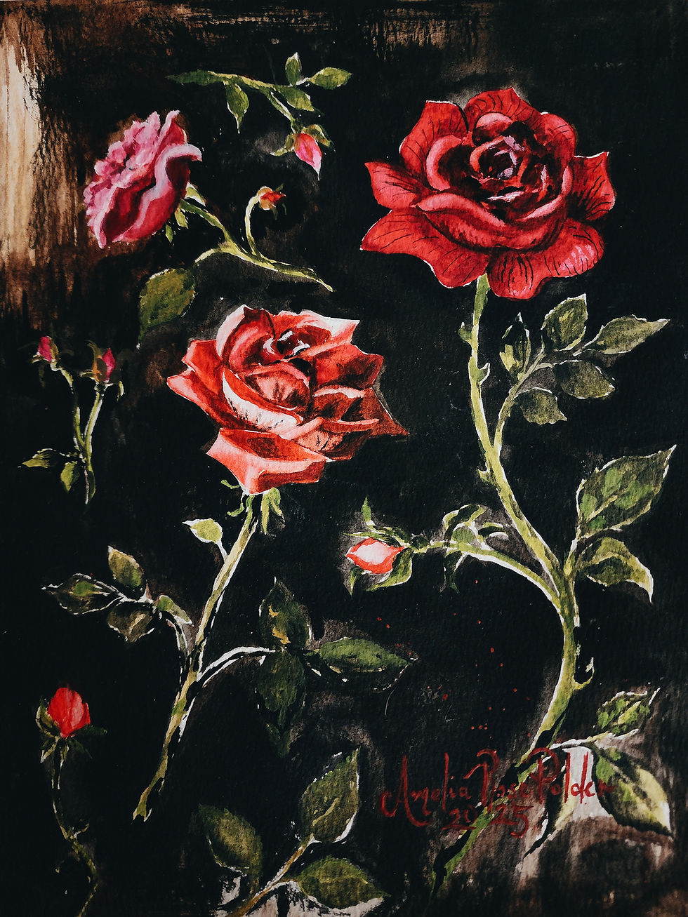 Thumbnail: Roses / 8x10 