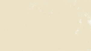 fondo .png