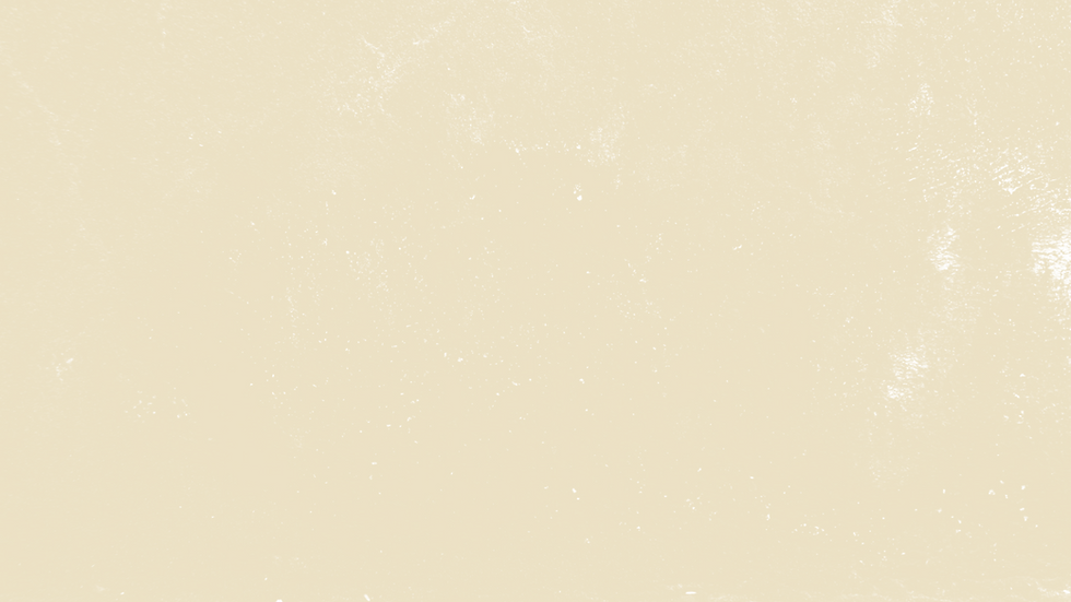 fondo .png