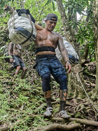 An orange carrier on the descent to the Punaruu Valley.