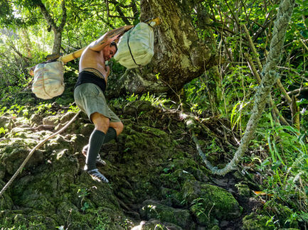 An orange carrier on the descent to the Punaruu Valley.