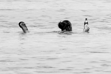 Woman lying submerged in the lagoon, a local beer in hand, only her head and one flip-flop above the surface, black and white, Tahiti
