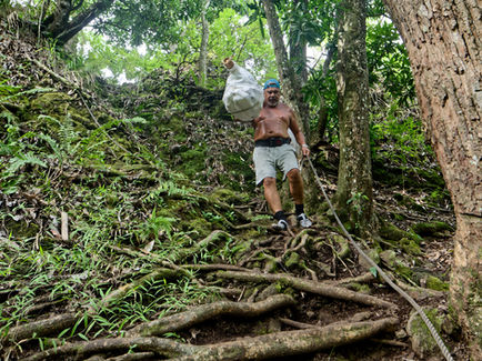 An orange carrier on the descent to the Punaruu Valley.