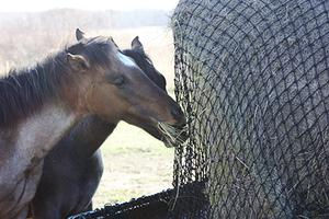 HayTrap, hay feeder, hay feeders for horses, horse hay feeders, horse round bale feeder, horse feeder, round bale feeder for horses, hay nets, hay bags for horses, hay nets for horses, square bale feeder, slow feeder hay nets