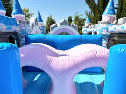 inflatable castle rental in Geneva