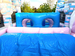 inflatable castle rental in Geneva