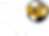 The-Business-of-Playwhite