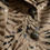 Thumbnail: V Cristina Animal Print Jacket, Blazer (Vintage)
