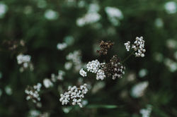 URBANERIE_Daniela_Goth_Fotografin_Nürnberg_Fürth_Erlangen_Schwabach_170906_001_0091