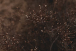 URBANERIE_Daniela_Goth_Hochzeitsfotograf