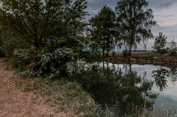 Hochzeitsfotograf_URBANERIE_Daniela_Goth