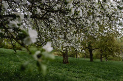 Hochzeitsfotograf_Daniela_Goth_URBANERIE