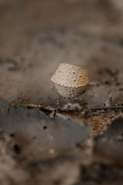 Hochzeitsfotograf_Daniela_Goth_URBANERIE