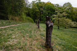 Hochzeitsfotograf_Daniela_Goth_URBANERIE