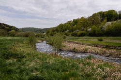 Hochzeitsfotograf_Daniela_Goth_URBANERIE