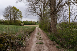 Hochzeitsfotograf_Daniela_Goth_URBANERIE