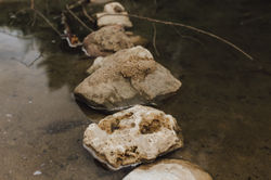 URBANERIE_Daniela_Goth_Fotografin_Nürnberg_Fürth_Erlangen_Schwabach_170902_003_0030