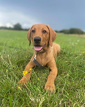 Screenshot 2025-12-11 at 16.47.53.png