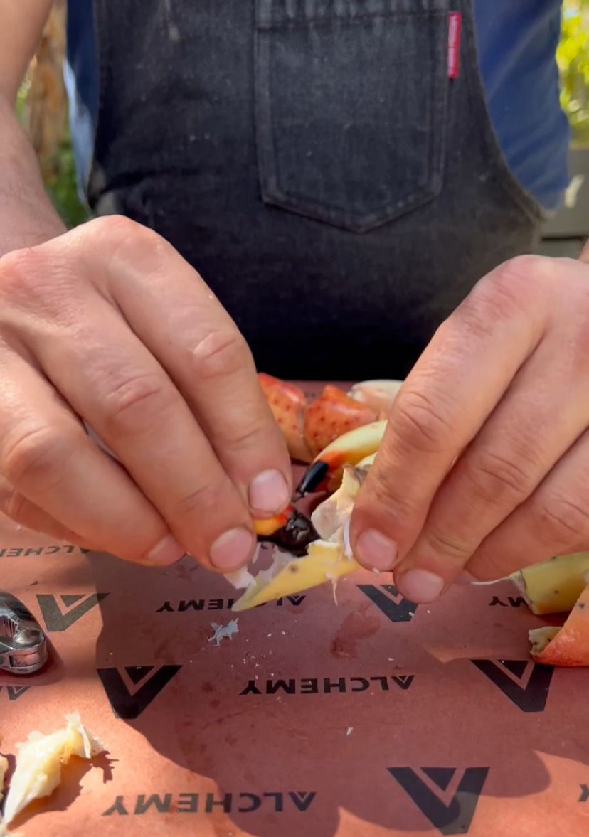 crab meat being scraped out of the shell with a piece of crab shell