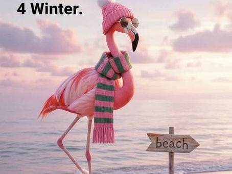 Coastal Florida in the Off Season