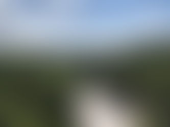 The Perks of a Coastal State Park Experience