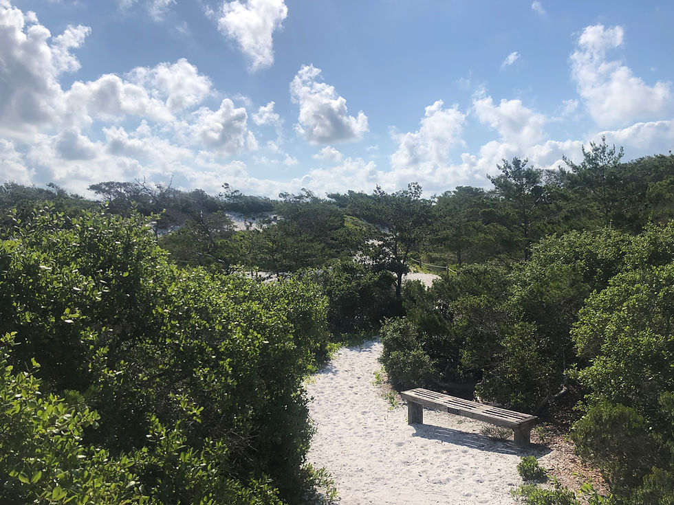 The Perks of a Coastal State Park Experience
