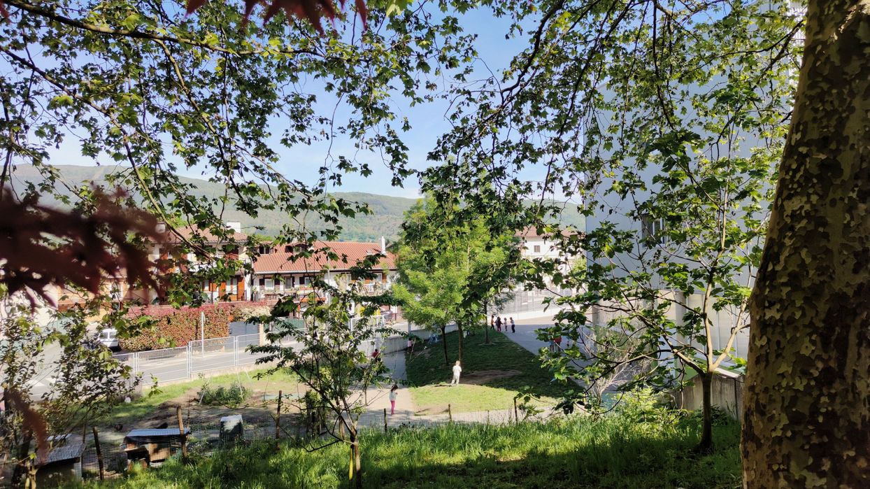 IMG_20230427_105107-01.jpeg