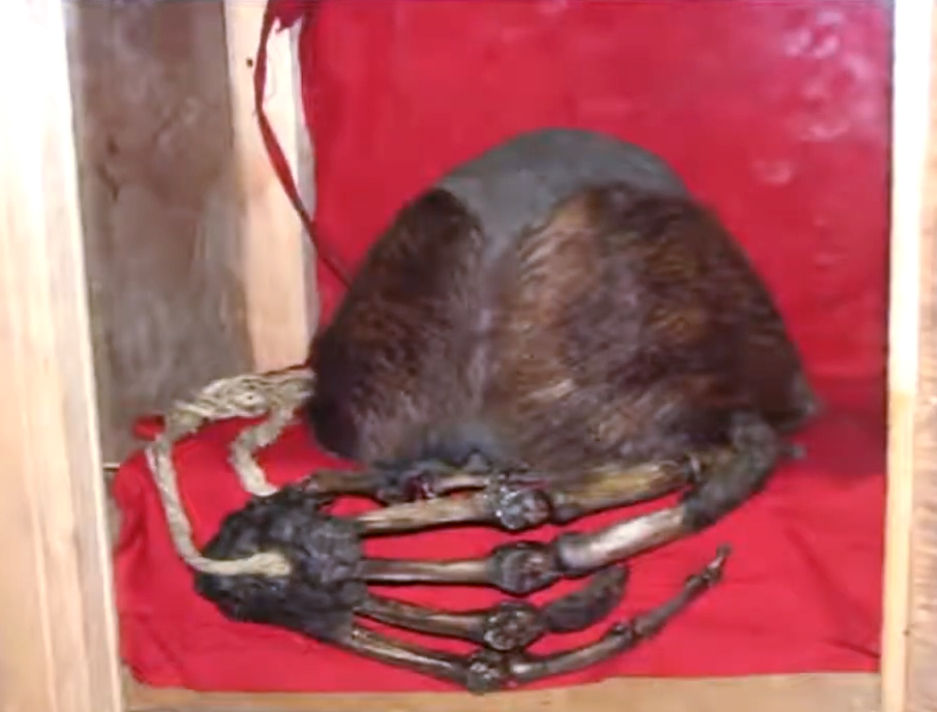The hand and skull relics on display in the Pangboche monastery in Nepal