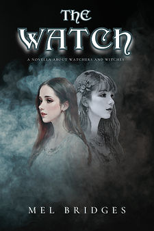 book cover of the watch