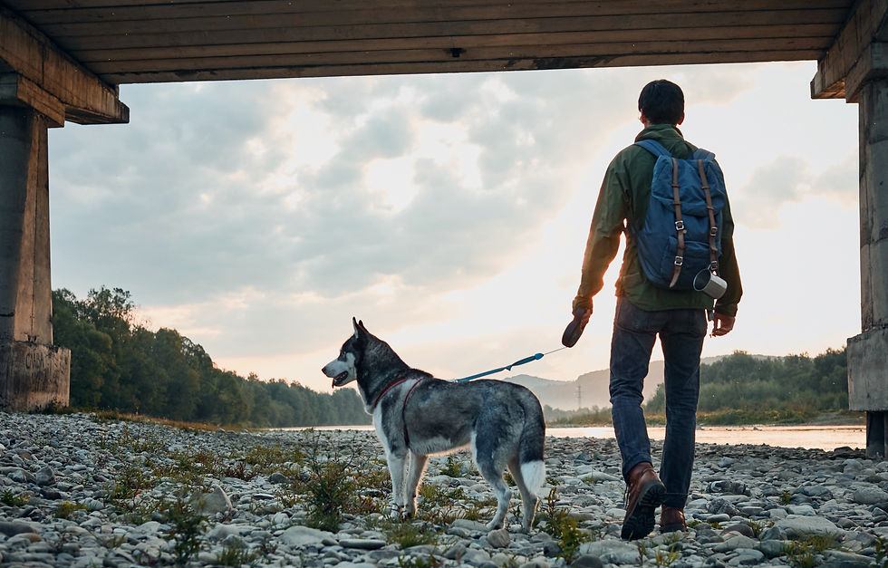 Man walking his dog