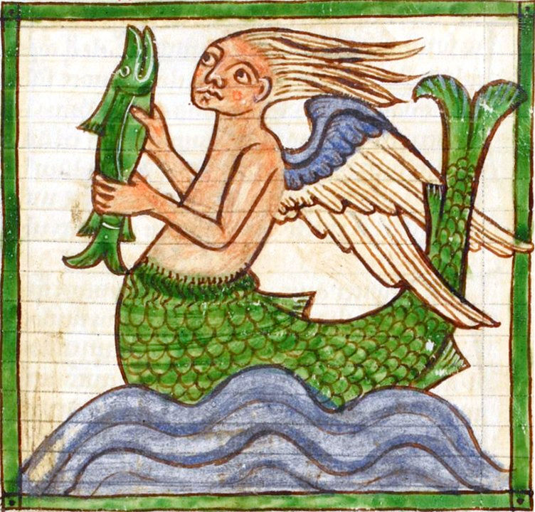 Bestiary of an early siren with wings and tail, British Library