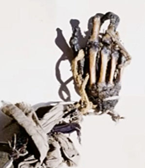 Hand bones wired together forming the Pangboche Hand