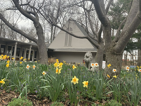 3.29.21 Front Circle Tulips.jpeg