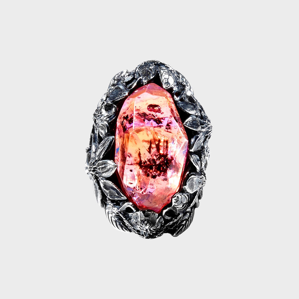 the WINTER Ring