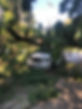Fallen pine branches covering the front and side of a white pickup truck.