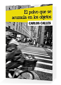 Portada El polvo que se acumula en los objetos