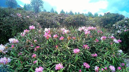 20150515113225_p.jpeg