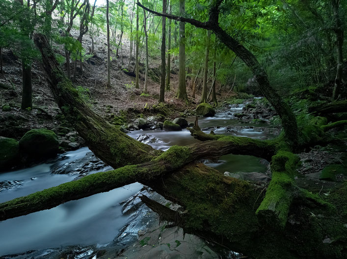 1インチセンサースマホ AQUOS R7 EDITION