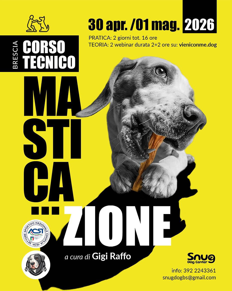 Tecnico masticazione