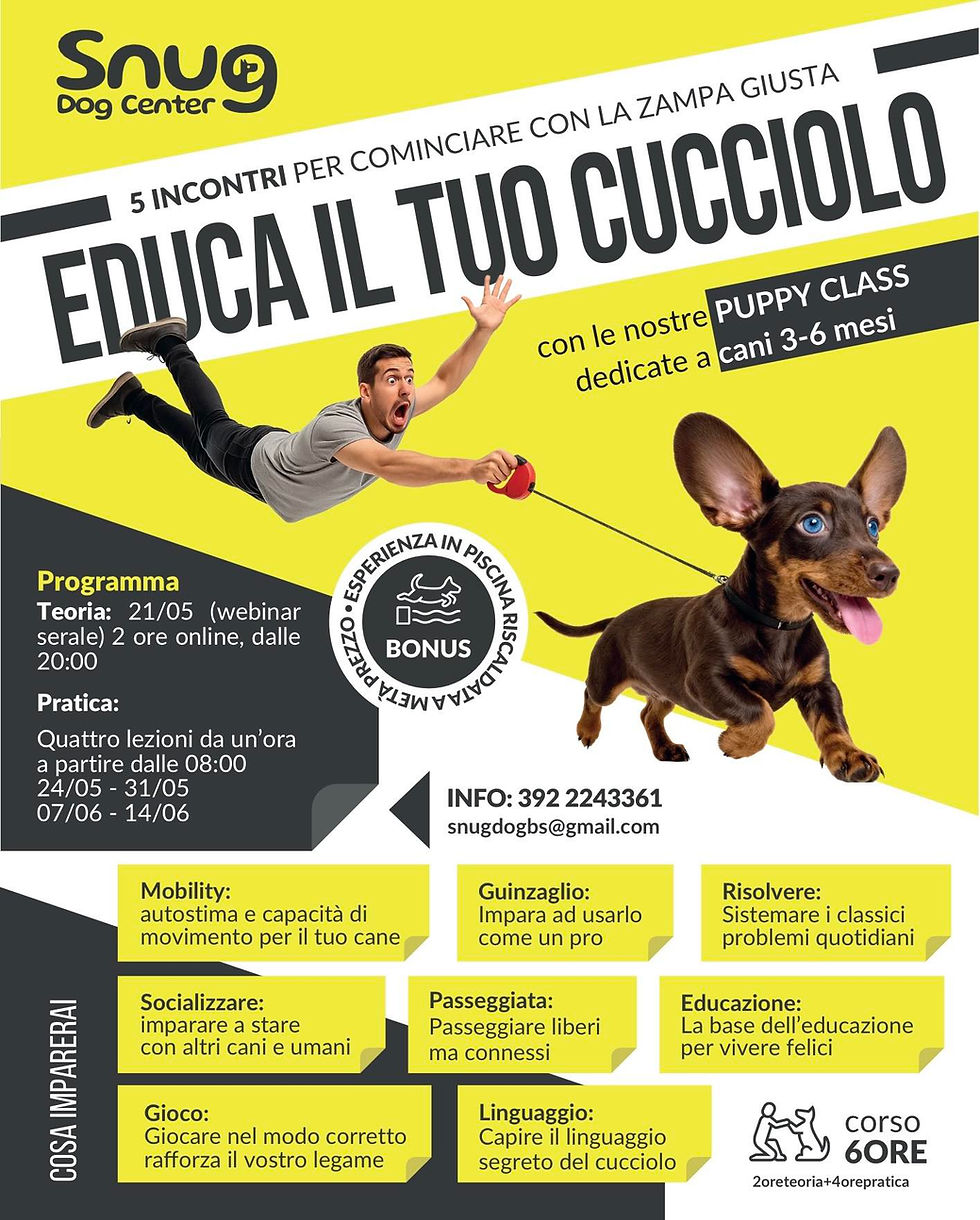 Puppy class