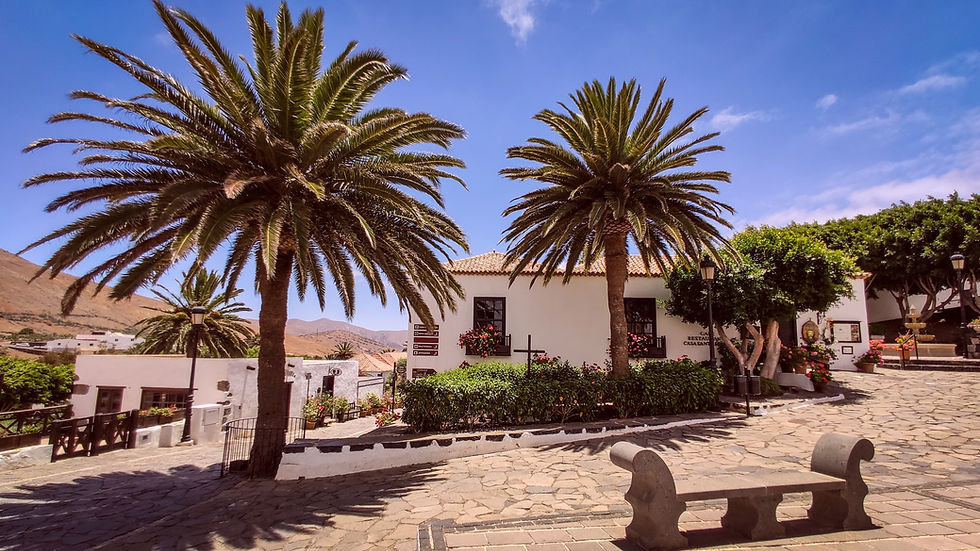 Miniatura: Fuerteventura VIP Tour