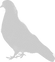 Pigeon_edited.png