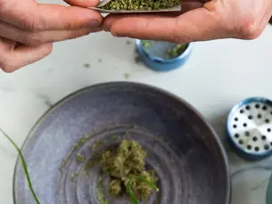 Close-up of hands rolling ground cannabis on a table, with a ceramic plate holding buds and a metal grinder nearby.