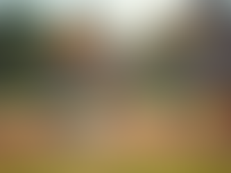 Inclusive Sports Programs for Children with Special Needs