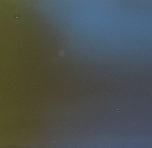 a3889542184_10.jpeg