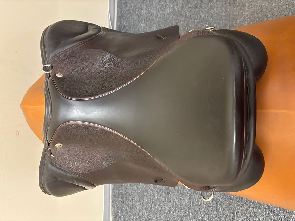 Thumbnail: Ideal EXL Jump 17.5" $2850 #827