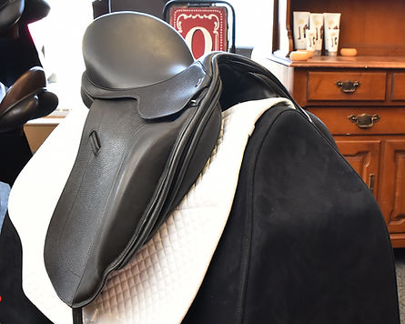 Bentley Dressage Saddle