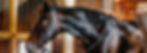 bridle fitting
